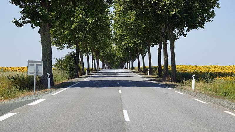 Transporte de mercancías por carretera